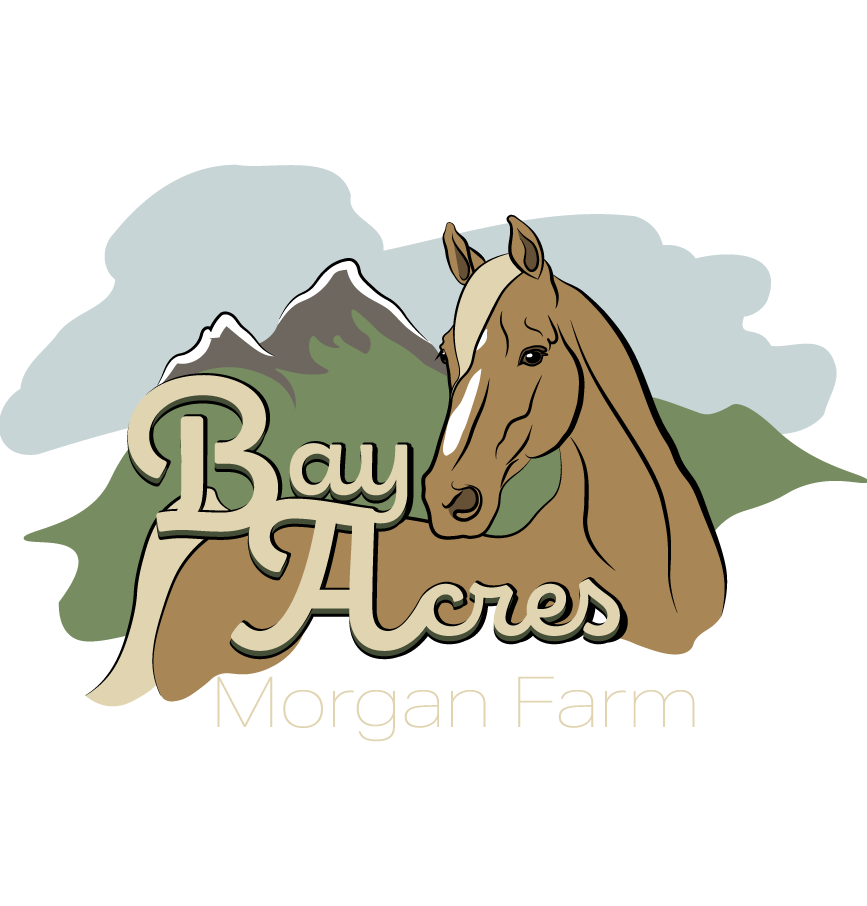 Bay Acres Morgan Farm